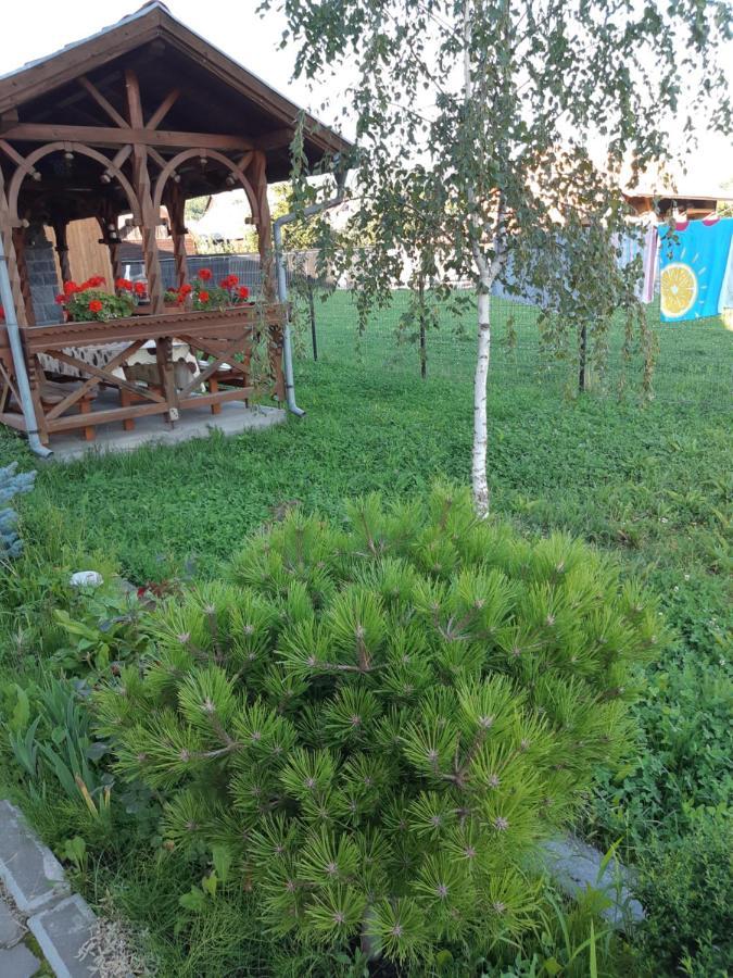 مبيت وإفطار براد Ibolya-Imola المظهر الخارجي الصورة